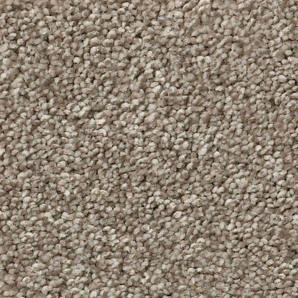 Shaw Simply the Best Momentum I Carpet in Hickory Manor, , large