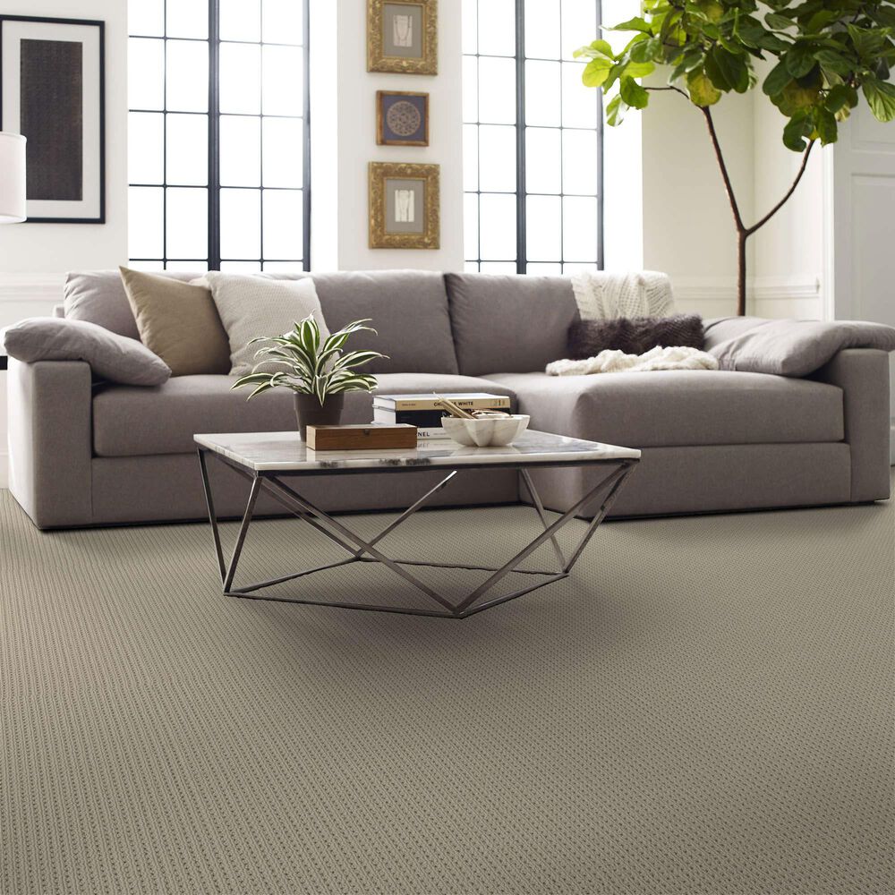 Philadelphia San Antonio Carpet in Fleece, , large