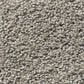 Shaw Acadia Park Carpet in Gray Elusive, , large