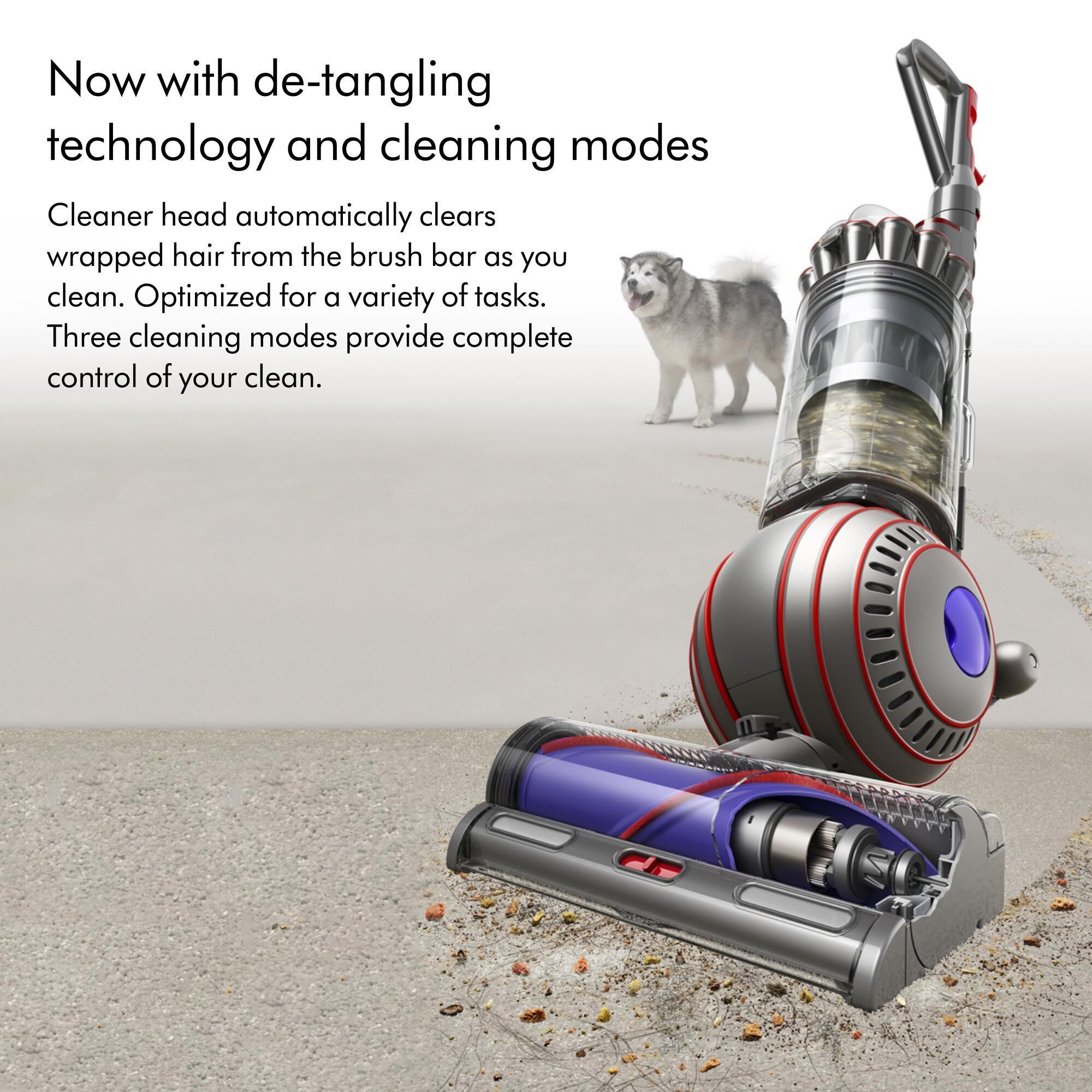 Dyson Ball Animal 3 Upright Vacuum In 