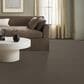 Anderson Tuftex Fabulous Carpet in Sable, , large