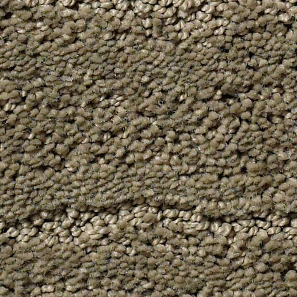 Anderson Tuftex Pose Carpet in Herbal, , large