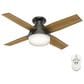 Hunter Dempsey Low Profile 44" Ceiling Fan with Lights in Noble Bronze, , large