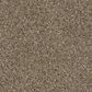Shaw Frosting Carpet in Dirt Road, , large