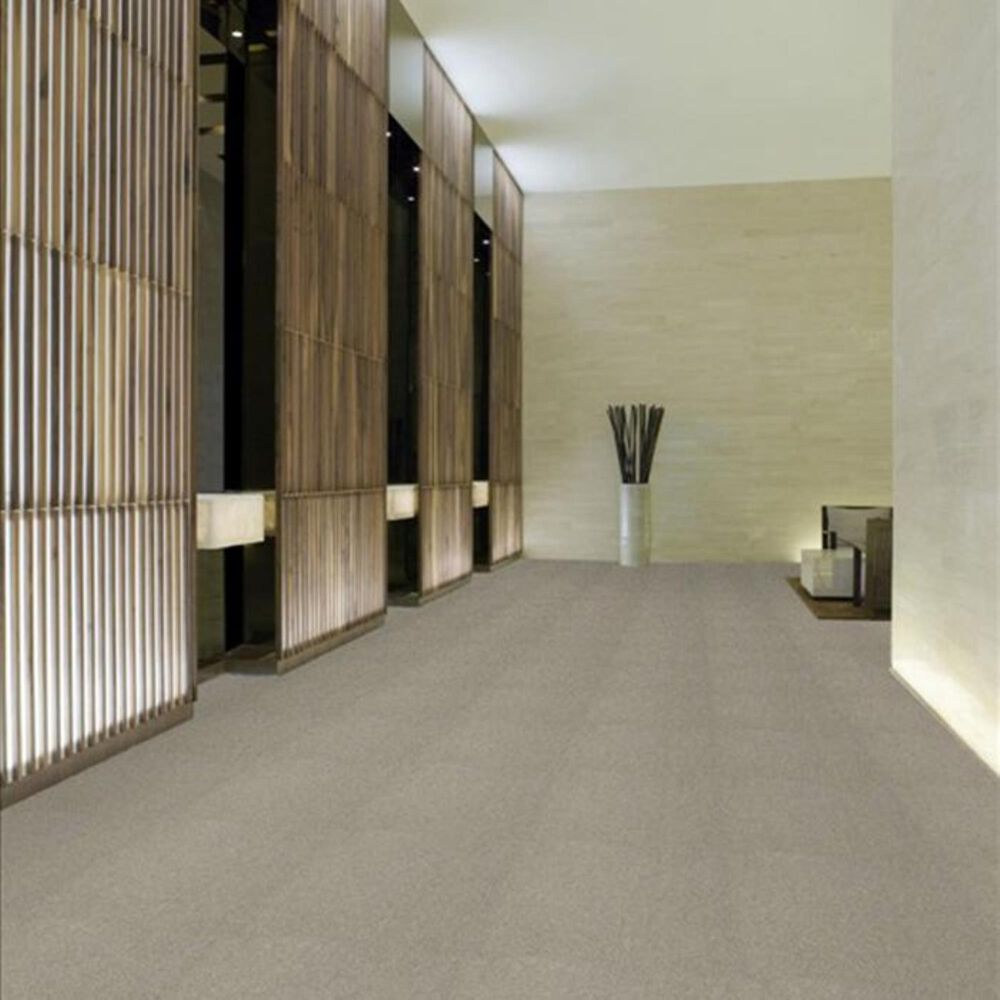 Shaw Primus Carpet in At the Beginning, , large