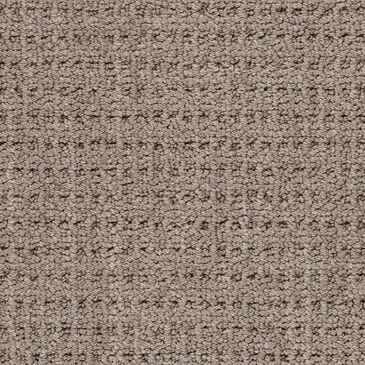 Dixie Home Country Home Carpet in Bark, , large