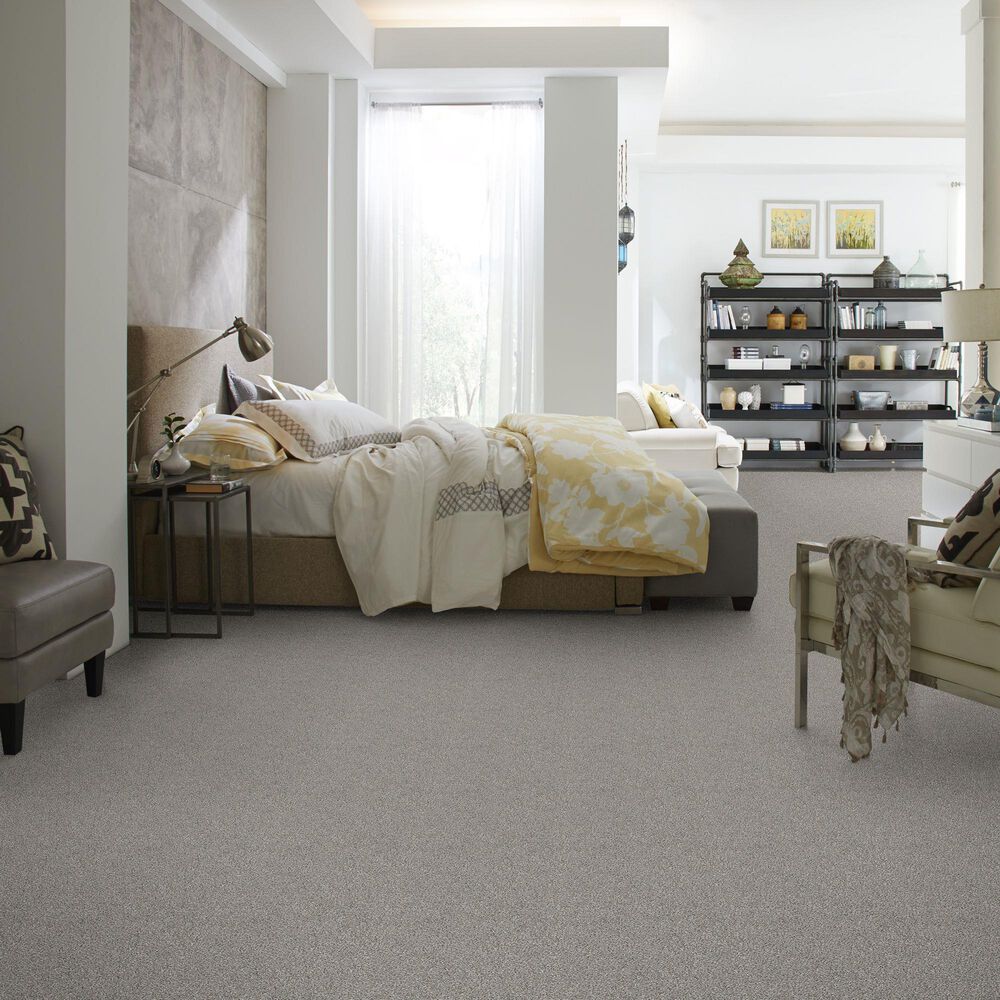 Shaw Find Your Comfort TA II Carpet in Long Bridge, , large