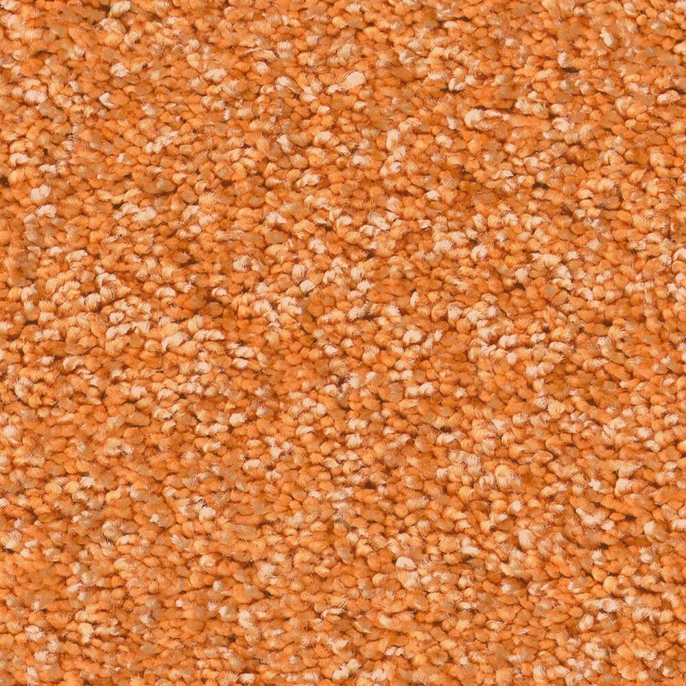 Shaw The Bright Side Carpet in Orange You Glad, , large