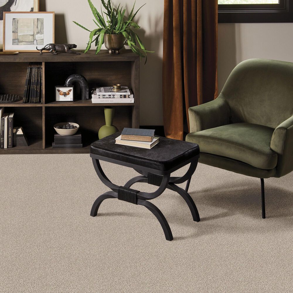 Anderson Tuftex Bali Carpet in Stucco Tan, , large