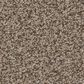 Anderson Tuftex Somerset Carpet in Chic Taupe, , large