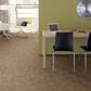 Anderson Tuftex Caress Free Spirit Carpet in Natural Beauty, , large
