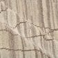 Amer Rugs Anna 10" x 14" Beige Area Rug, , large