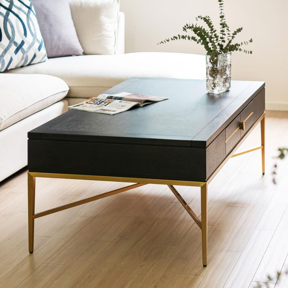 Jennifer Taylor Home Kingsly Storage Coffee Table in Espresso Black and Gold, , large