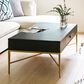 Jennifer Taylor Home Kingsly Storage Coffee Table in Espresso Black and Gold, , large