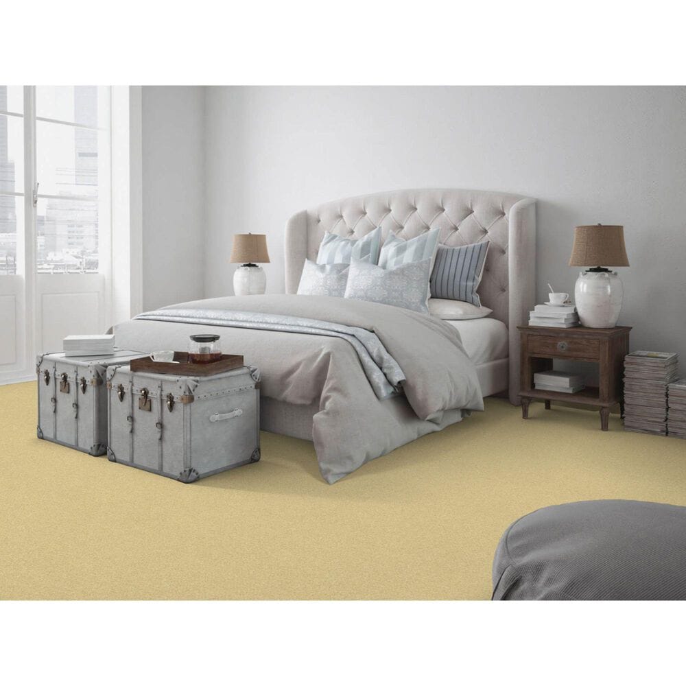 Dixie Home Simplicity Carpet in Camelite, , large