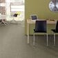 Shaw Cabana Bay Tonal Carpet in Pebble Creek, , large
