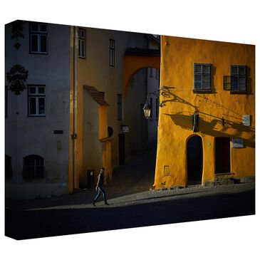Timberlake Sighisoara 12" x 19" Canvas Art in Black/Brown/Yellow, , large