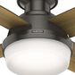 Hunter Dempsey Low Profile 44" Ceiling Fan with Lights in Noble Bronze, , large