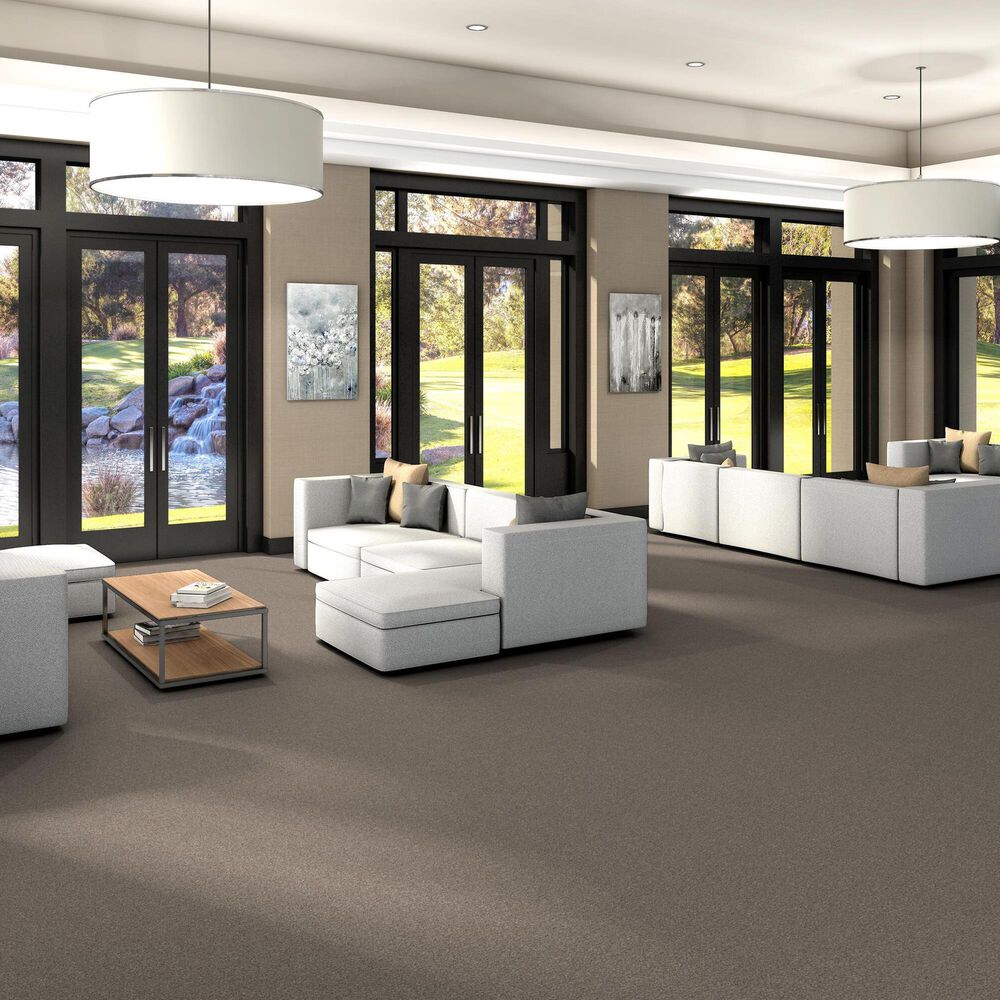 Shaw Yes You Can III Carpet in Natural, , large