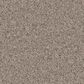 Dixie Home Devotion Carpet in Driftwood, , large