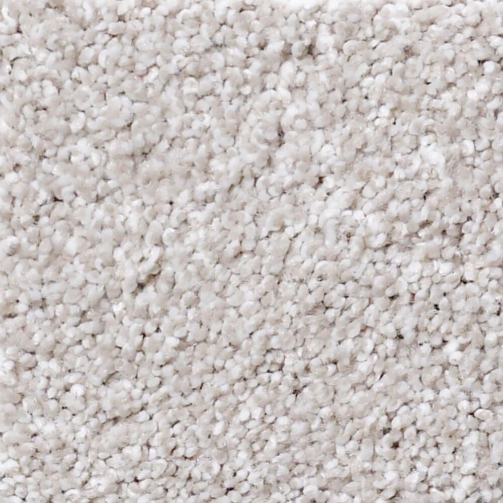 Shaw Foundations Always Ready I Carpet in Realist, , large