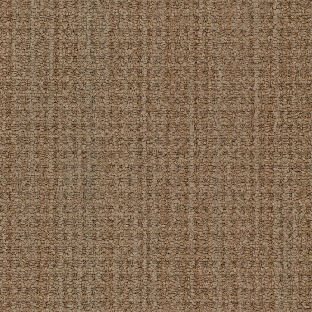 Masland Take It Easy Carpet in Tuscan, , large