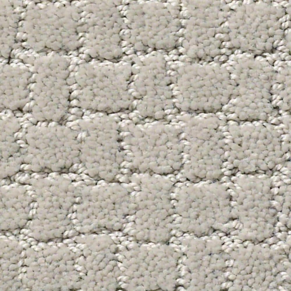 Anderson Tuftex Pawstruck Carpet in Calm, , large