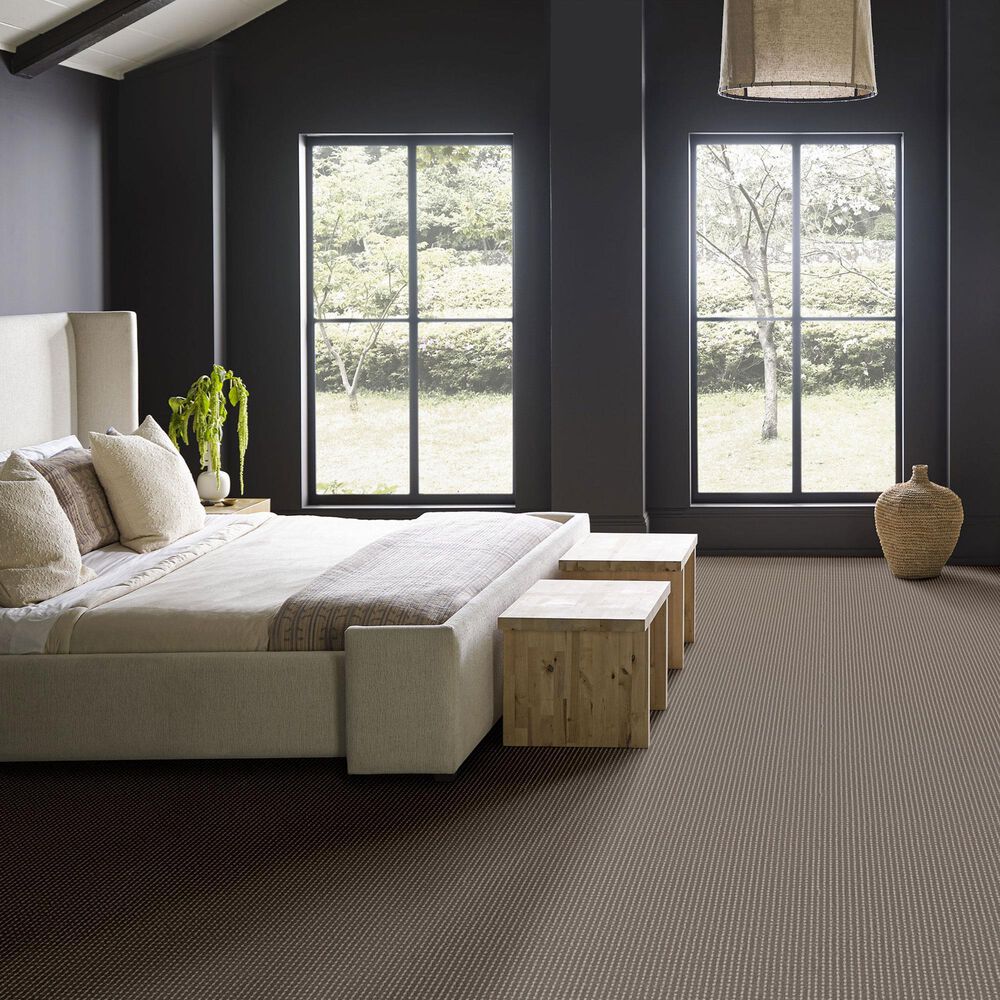 Anderson Tuftex Rhode Carpet in Riverbank, , large