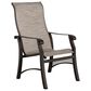 Woodard Cortland Sling High Back Dining Arm Chair in Watercolor Tweedy Pearly, , large