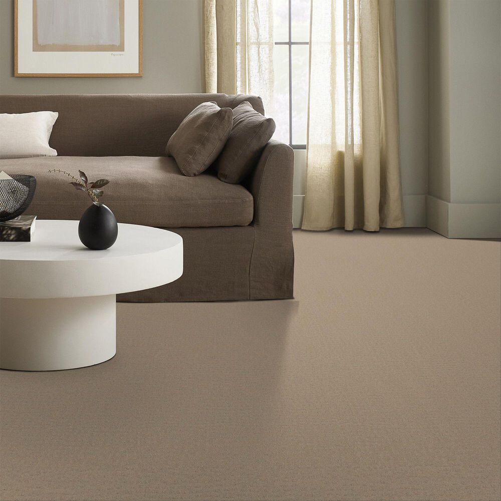 Anderson Tuftex West Haven Carpet in Terrazo, , large