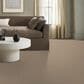 Anderson Tuftex West Haven Carpet in Terrazo, , large