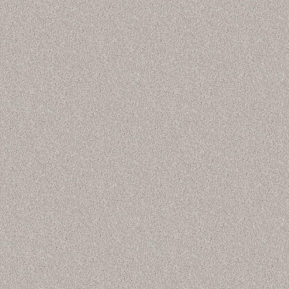 Shaw Tonal Comfort Ii Carpet in Whitewashed Frame, , large