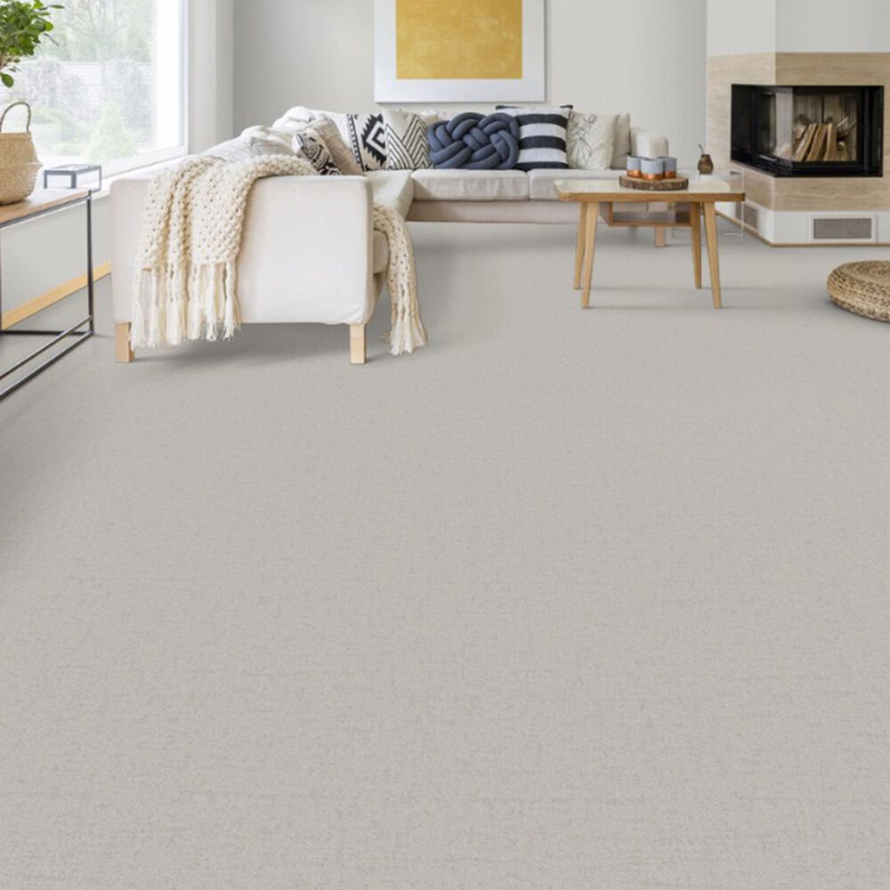 Dixie Home Genuine Carpet in Absolute, , large