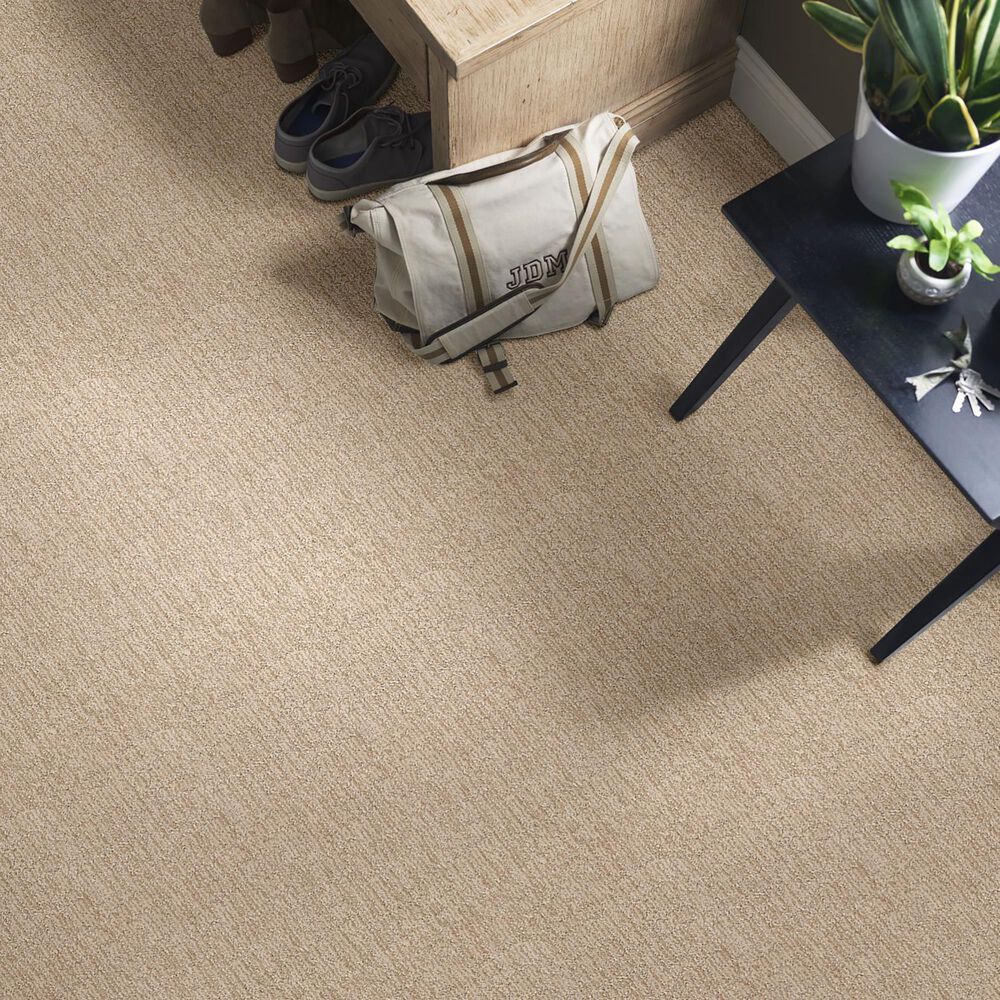 Anderson Tuftex Wanderer Carpet in Straw, , large
