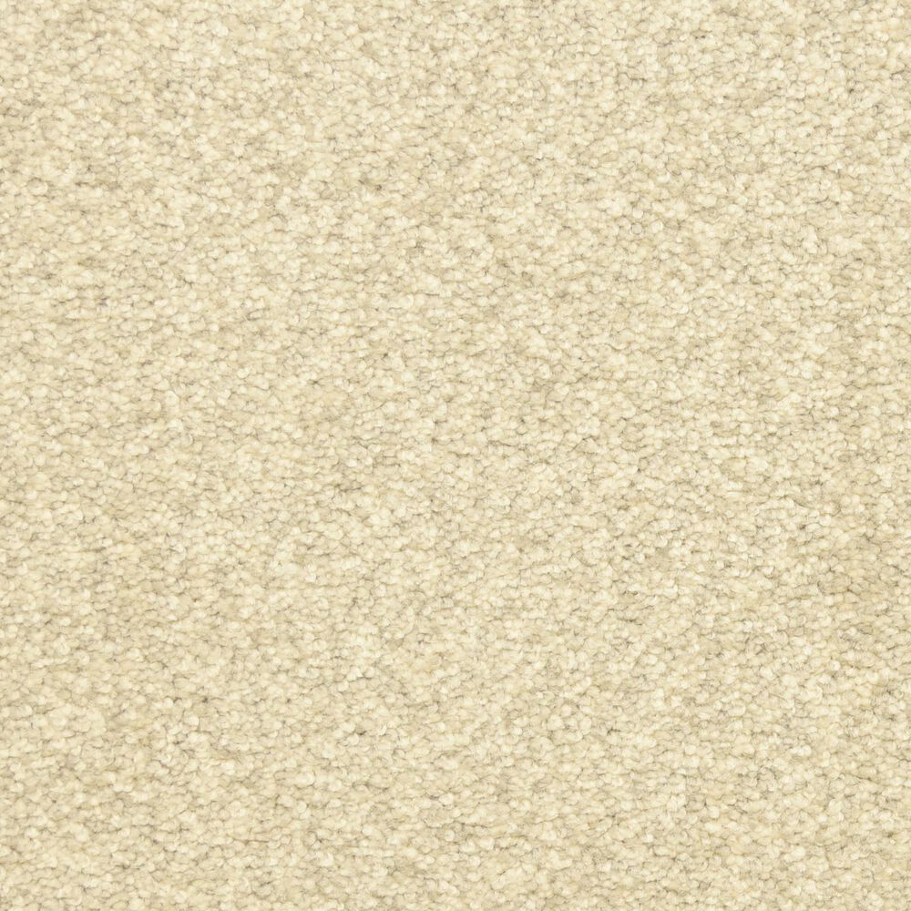 Dixie Home Debut Carpet in Granite, , large