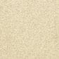 Dixie Home Debut Carpet in Granite, , large