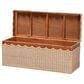 Baxton Studio Damita Storage Bench in Natural, , large
