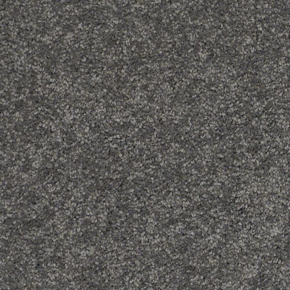 Anderson Tuftex Barracan Classic I Carpet in Onyx, , large