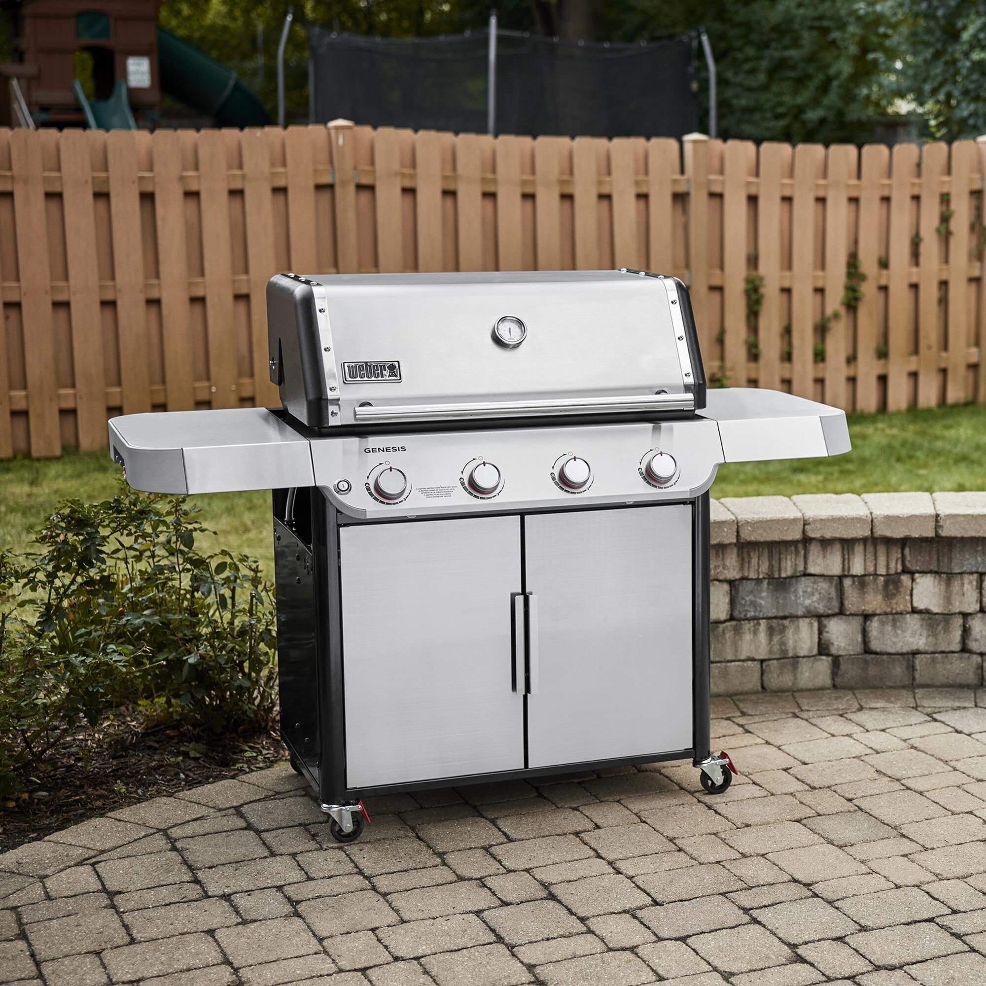 Weber 2 burner genesis online