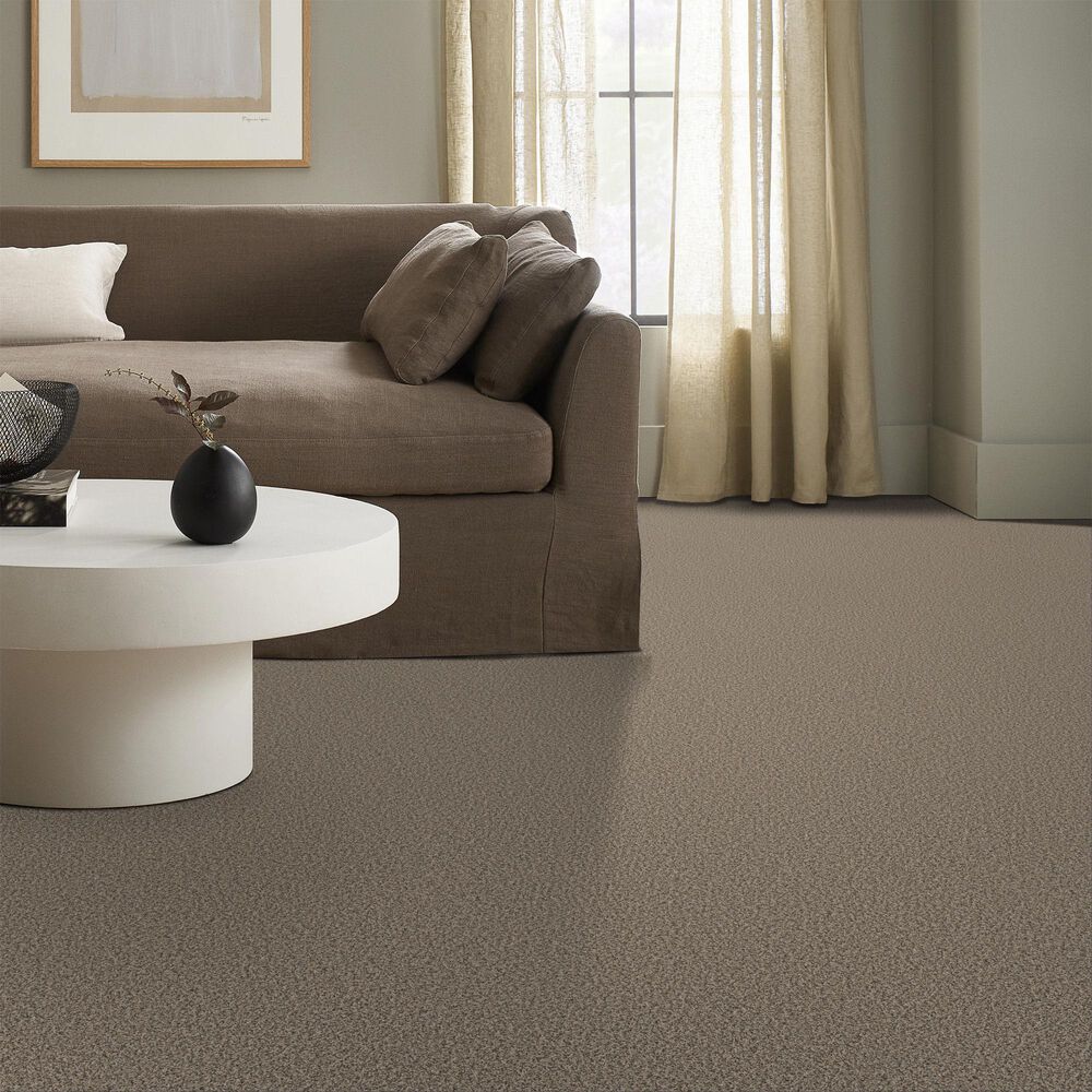 Philadelphia Bold Move Plus Carpet in Wet Sand, , large