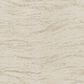 Masland Medley Carpet in Balance, , large
