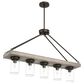 Hunter Devon Park 5-Light Linear Chandelier in Onyx Bengal and Barnwood, , large