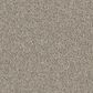 Godfrey-Hirst Candor Carpet in Universal, , large
