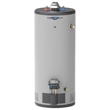 GE Appliances RealMAX Choice 30-Gallon Short Liquid Propane Atmospheric Water Heater in Gray, , large