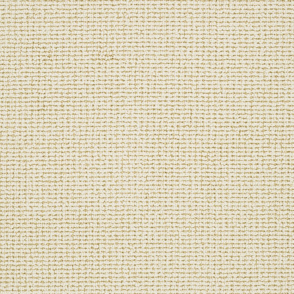 Dixie Home Pleasant Valley Carpet in Finch, , large