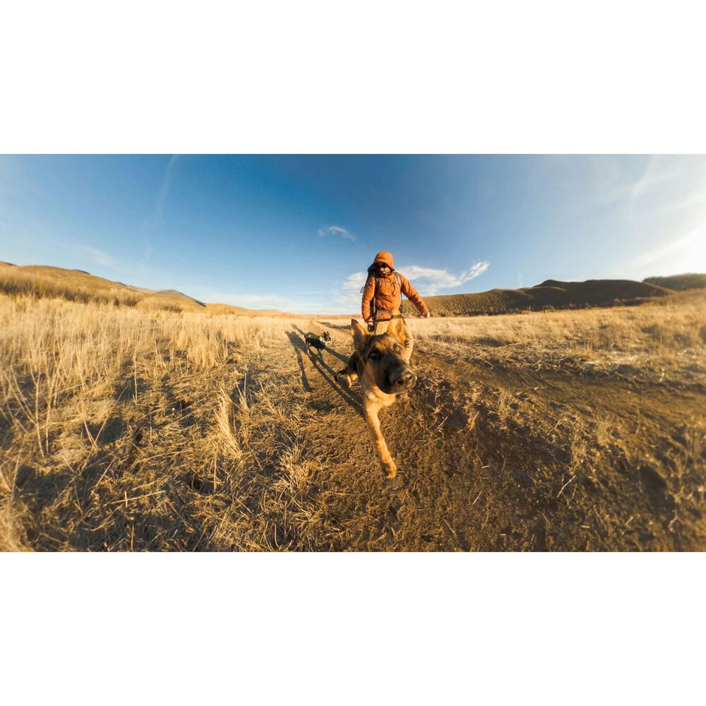 GoPro 4 ft. &#40;1.2m&#41; Extension Pole Monopod in Black, , large