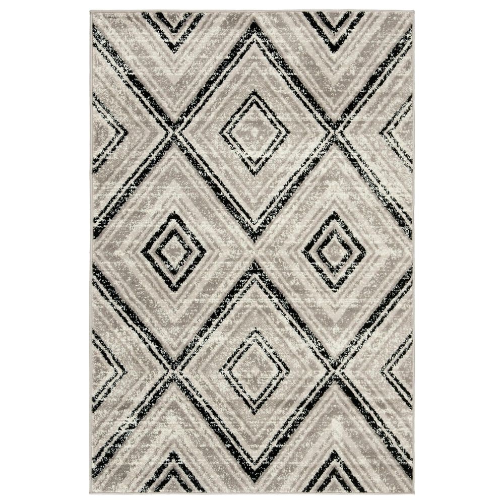 Safavieh Skyler SKY120J 3" x 5" Grey and Black Area Rug, , large