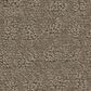 Shaw West Haven Carpet in Riverbank, , large