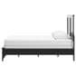 Ashley Maribel Queen Panel Bed in Black, , large
