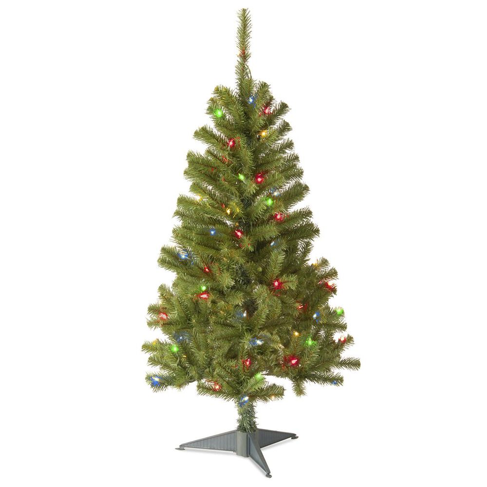 National Tree 4" Canadian Fir Grande with 100 Multicolor Lights, , large